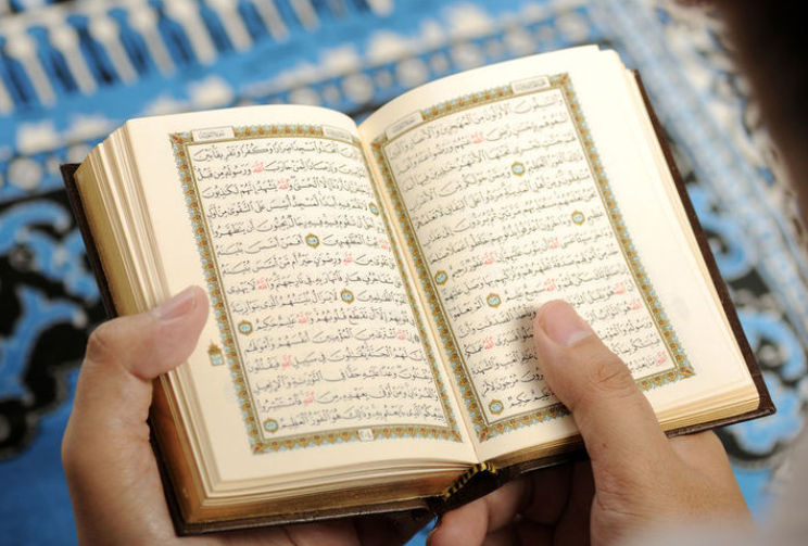 Exploring the Quran: Recitation and Understanding Journey